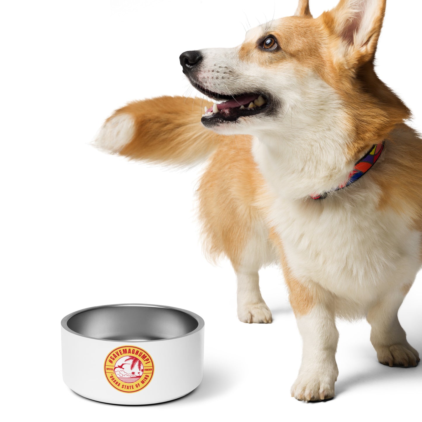 #SAVEMAGNUMPI Pet Bowl - 2 sizes