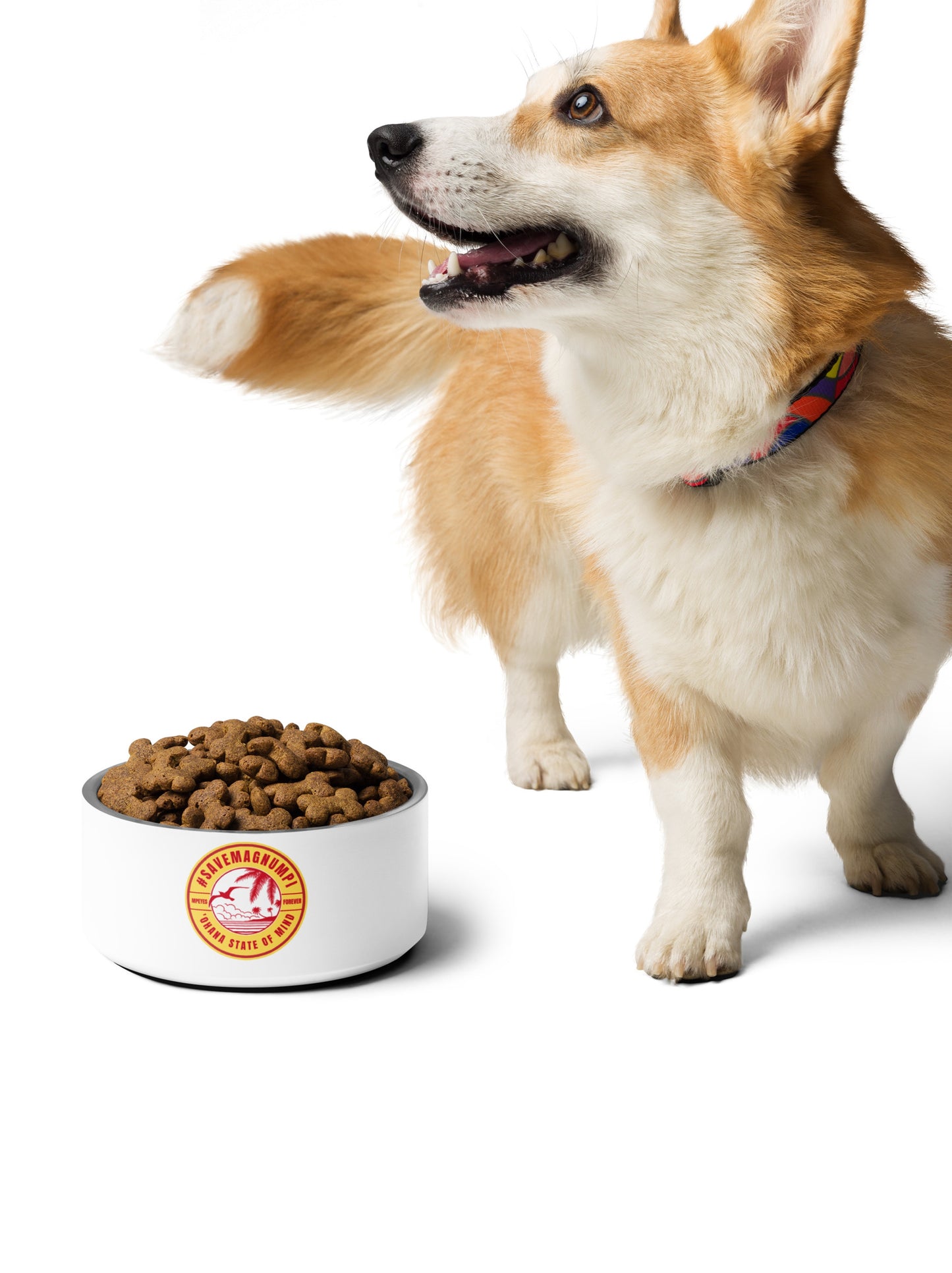 #SAVEMAGNUMPI Pet Bowl - 2 sizes