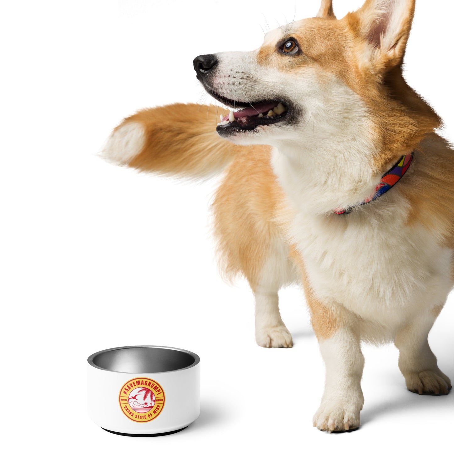 #SAVEMAGNUMPI Pet Bowl - 2 sizes